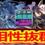 超重力でも100億連発！クロトビの火力がヤバすぎる【パズドラ】