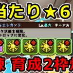 ヘンダーソンが超優秀！獄練超適正！1周1分半＆育成枠2枚で周回可能！SPY×FAMILY【パズドラ】