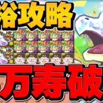 ガチャドラで裏万寿チャレンジ15分攻略！これ組めれば比較的簡単に勝てます！【パズドラ】