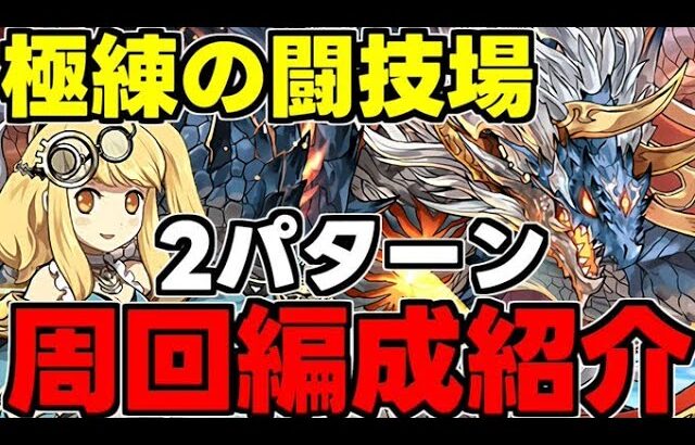 爆速ランク上げ！サレサレ極練の闘技場周回編成2パターン紹介！低難易度編成も！代用＆立ち回り解説！【パズドラ】