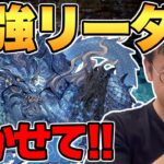 【沼の20連ガチャ】確率1.5％グランエルヴが引けない世界線の男【パズドラ】