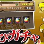 貰ったからには何が出ても文句言えないゴッドフェスガチャ5連【パズドラ】