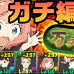 【裏万寿攻略】ALL SPY×FAMILYで万寿チャレンジ完全攻略+立ち回り【裏永刻の万龍　パズドラ】