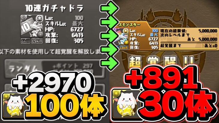 超覚醒でパズドラ炎上→山Pの神対応でシステム大幅訂正！【パズドラ】