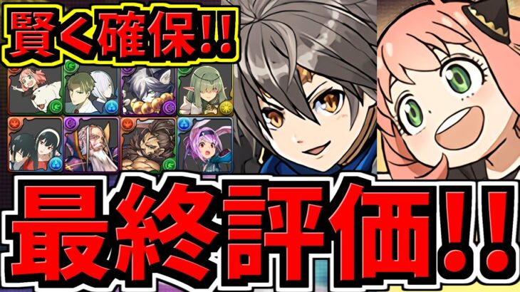 【最終評価】スルー注意！SPY×FAMILYと比較！神器龍交換所解説！優先度Top3！後悔ないように！【パズドラ】