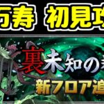 【生放送】つまらなかったらすぐ寝てしまう裏万寿初見チャレンジ【パズドラ】