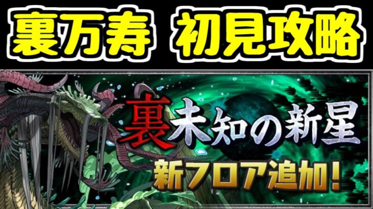【生放送】つまらなかったらすぐ寝てしまう裏万寿初見チャレンジ【パズドラ】