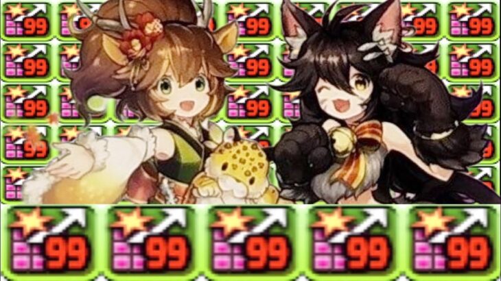 新キャラ先バレと放送事故未遂がヤバすぎる【パスドラ 性能予想】
