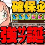 アーニャが環境最強サブに！圧倒的サポートで大活躍！フォージャー家編成で凶兆攻略！【パズドラ】