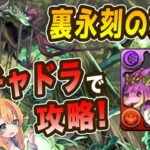 裏永刻の万龍をガチャドラで攻略！！とにかく耐久力が高くて強かった！！【パズドラ】【万寿チャレンジ】