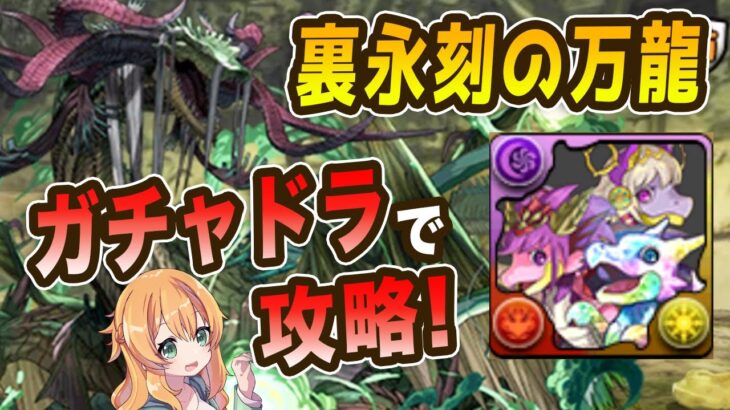 裏永刻の万龍をガチャドラで攻略！！とにかく耐久力が高くて強かった！！【パズドラ】【万寿チャレンジ】