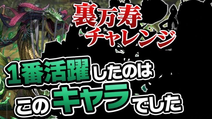 【万寿チャレンジ】裏永刻の万龍を最新木属性パーティで倒してきました【パズドラ】