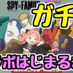 【生放送】スパイファミリーコラボはじまるます！ まずはガチャ！ 【パズドラ】