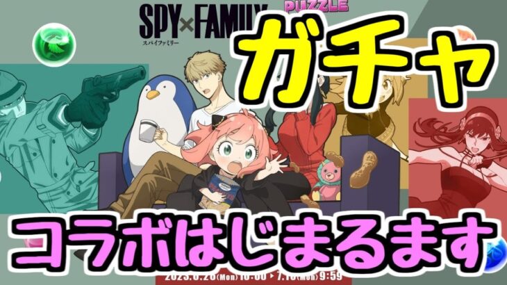 【生放送】スパイファミリーコラボはじまるます！ まずはガチャ！ 【パズドラ】