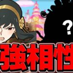 このヨルの使い方が、環境で一番強いと思います。【パズドラ】