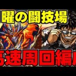 【月曜の闘技場】シヴァドラずらしで快適周回！エリスドラゴンを乱獲しよう！シヴァドラ高速周回編成代用＆立ち回り解説！【パズドラ】