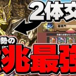 アグリゲート”2体”交換者が現れた件について・・・【パズドラ】