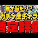 BEST5以外にも当たりキャラが存在！！夏休み（水着）全キャラ暫定評価！【パズドラ実況】