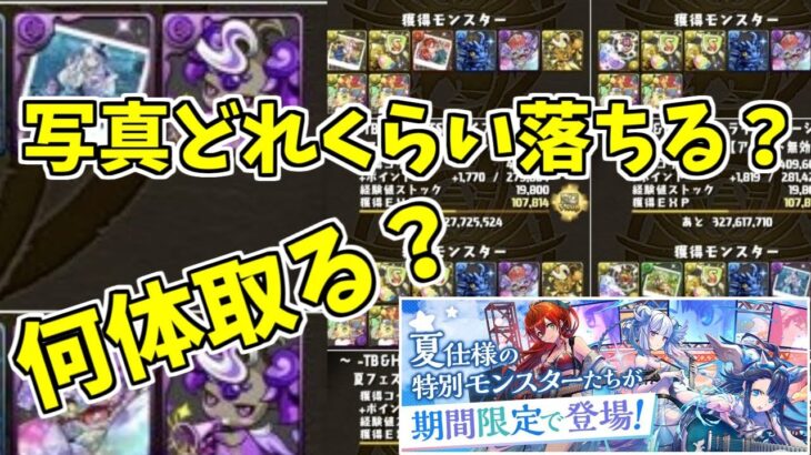 【夏休みコロシアム】写真のドロップと確保枚数について(TB&HEARTSライブステージ)【パズドラ実況】