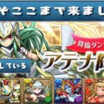 【裏技】アテナ降臨が最高すぎる【パズドラ】