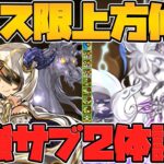 イルム&グレモリーが極醒進化！フェス限最強級のサブ性能に！持ってる人必見！【パズドラ】