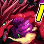 【生放送】宿題は終わってるか？【パズドラ】