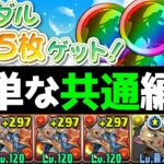 【虹メダルチャレンジ】即終了！簡易共通編成を解説【パズドラ実況】