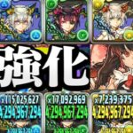 五等分のミルがヤバすぎる【パズドラ】