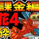 【理解不能】王者が使う無課金編成がヤバすぎた【パズドラ】