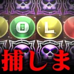 ロリ召喚専用きせかえドロップwwwwwwwwwwwwwww【パズドラ】