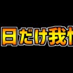 魔法石は、後1日だけ絶対に我慢してください・・・【パズドラ】