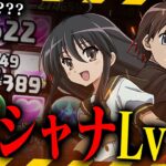 【無駄の100万倍】76シャナ､Lv15制覇！【パズドラ】