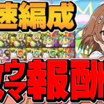 “裏千手”を御坂美琴で1周10分周回！最強リーダー確定！激ウマ報酬乱獲！【パズドラ】