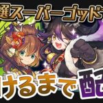 カノ&クロネを2体引けるまでスーパーゴッドフェス引く【パズドラ】