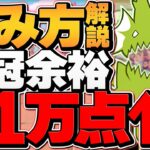 21万点↑王冠狙い立ち回り解説2パターン!固定配置で余裕！11周年記念杯2 ランキングダンジョン