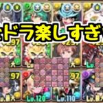 【神ゲー】パズドラ楽しすぎｗｗｗ 3Yクソおもしろ編成集【パズドラ】