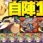 【7分台】ベルガー1枚で万寿周回出来るの神すぎる【パズドラ】