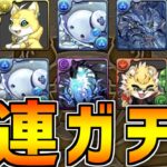 大罪龍と鍵の勇者”9連ガチャ配布”が最高すぎてヤバい！！【パズドラ】