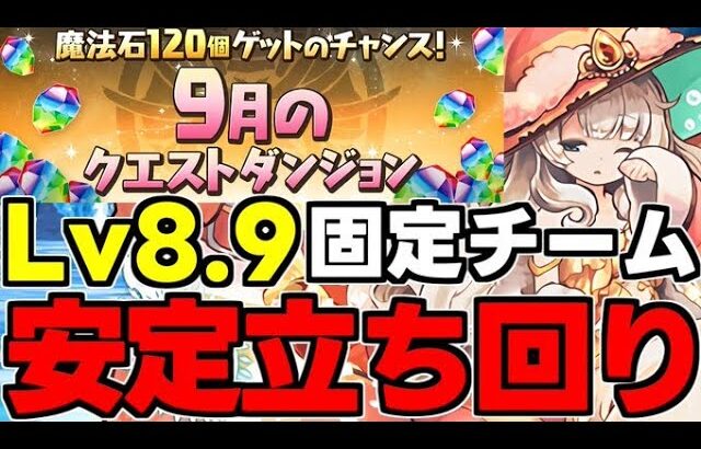 【9月のクエスト】Lv8.9固定チーム！ド安定立ち回り解説！【パズドラ】