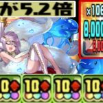 フェス限ミツルカがヤバすぎる【パズドラ】