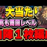 今回のぶっ壊れ当たりキャラ！ベルガーの性能が高すぎて高難易度が周回レベルに！！【凶兆】【パズドラ実況】