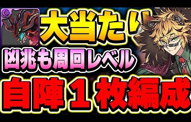 今回のぶっ壊れ当たりキャラ！ベルガーの性能が高すぎて高難易度が周回レベルに！！【凶兆】【パズドラ実況】
