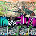 スレイン降臨、フェゴランのゴリ押し多色で初見チャレンジ【パズドラ】