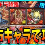 新規&復帰者必見！全員配布の初心者応援チームキャラでシヴァドラ降臨を倒せるぞ！【パズドラ・無課金編成】