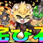 【期間限定】実質ガチャ配布⁈ バグの詫び石が美味すぎてヤバい【パズドラ】