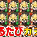 ベルガー出るたびガチャ引けばベルガー出る説【パズドラ】