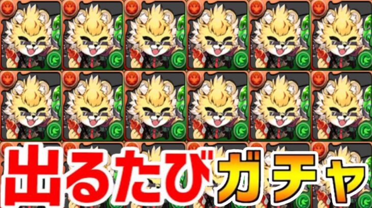 ベルガー出るたびガチャ引けばベルガー出る説【パズドラ】