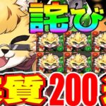 詫び石でベルガー出るたびガチャ引けばベルガー出る説【パズドラ】