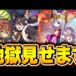 こいつら2.5%だよなぁ？？ルカ＆ミツキとカノ＆クロネ追ってゴッドフェス引いたら大変なことになった・・・【パズドラ実況】