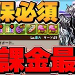 【本日限定】無課金最強キャラを20万MPでゲット！確保しないと一生後悔します！【パズドラ】